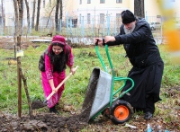 В Хабаровске высадили "Аллею дружбы народов"