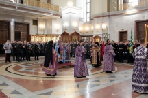 IMG_7659.JPG