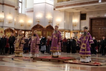 20-IMG_8687.JPG