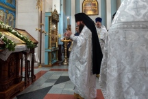 DSC_8517.jpg
