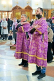 IMG_5265.jpg