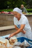 IMG_7355.jpg
