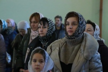 IMG_7750.JPG