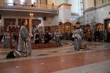 IMG_8687.jpg