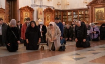 IMG_8692.jpg