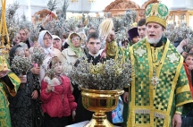 Вход Господень в Иерусалим (Вербное воскресенье). Спасо-Преображенский кафедральный собор. 28 апреля 2013 года.
