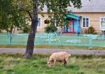 Миссионерская поездка в село Дубовый мыс. 16 сентября 2011 г.