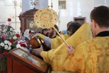 Прибытие  мироточивой иконы Божией Матери «Умягчение злых сердец» в Хабаровск и её встреча в Спасо-Преображенском соборе. 6 ноября 2011 г.