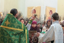 06.JPG