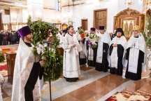 Рождественская вечерня в Спасо-Преображенском кафедральном соборе 08 января 2017 года