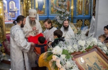 Божественная литургия в Градо-Хабаровском соборе Успения Божией Матери 20 января 2019 г.