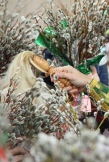 18.JPG