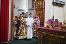 IMG_6461.JPG