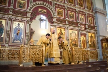 IMG_6409.jpg
