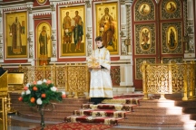 IMG_6738.jpg