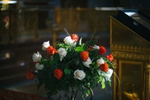 IMG_6815.jpg