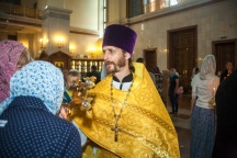 IMG_9848.jpg