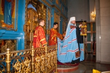 IMG_4356.jpg