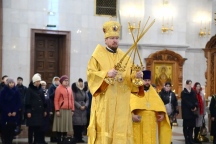 DSC_1010.JPG