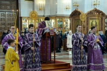 IVO_7017.JPG
