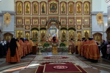 IVO_8671.JPG