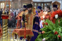 IVO_8731.JPG