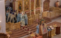 IMG_6425.jpg