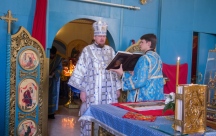 IMG_6567.jpg