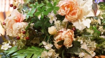 DSC05892.jpg