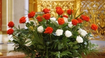 DSC07693.jpg