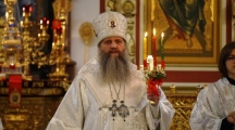 DSC07982.jpg