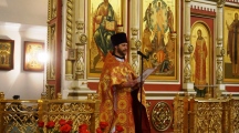 DSC08173.jpg
