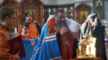 DSC08480.jpg