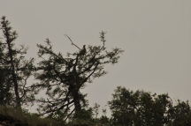 176.JPG