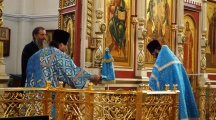 DSC05529.jpg